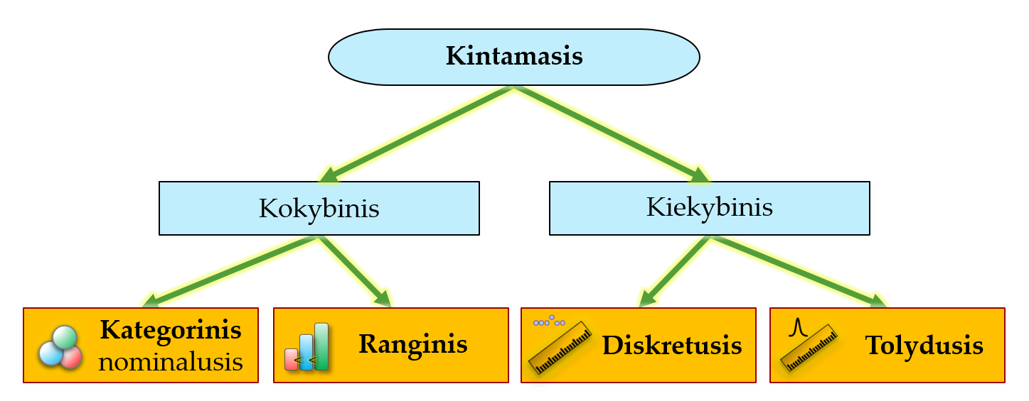 Pagrindiniai statistinių kintamųjų *duomenų tipai*.